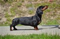 BIM KD Uddevalla -25 DSC_1008.JPG