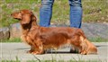 BIM LN Uddevalla -25 DSC_1256 Kopia.JPG