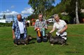 BIR SN och BIS 4 Hårsås Faxe  äg, Ulf Carlsson, Kungsbacka  BIM CH Vilg's Raisa  äg, Inger Toompea, Hajom.JPG