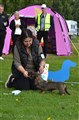 BIS Valp 2 6-9 Mellerud -26 DSC_1295.JPG