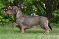 DSC_0542 BIR SN Mellerud -22.JPG