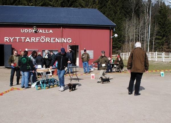 uddevalla1.jpg